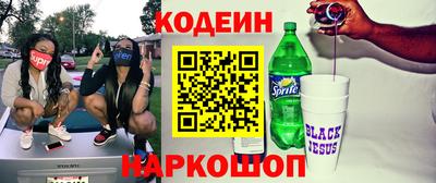 ешки Кингисепп