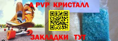 ешки Кингисепп
